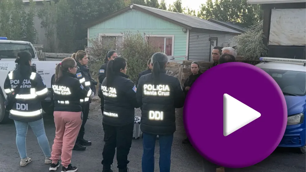 WhatsApp Image 2026-01-02 at 22.23