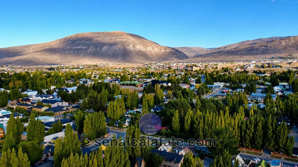 Calafate